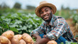 African american balck man farmer harvesting ripe potatos at sunny day. Agriculture and healthy food concept. Generative ai
