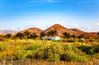 © Iryna Shpulak - Volcanic landscape, Island Lanzarote, Canary Islands, Spain.