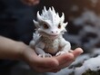 someone holding a cute little snow dragon in their hands, newly hatched dragon, soft delicate draconic features