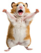 PNG Happy smiling dancing hamster mammal animal rodent