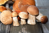 Fototapeta Łazienka - Mushrooms On Wood