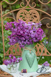 Flieder-Blumenstrauß im vintage Krug auf einem Gartenstuhl