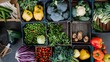 reducing food waste environmentally conscious refillable products, ways to make composting easier and products that can help us mend what we already have rather than buying new things food box on