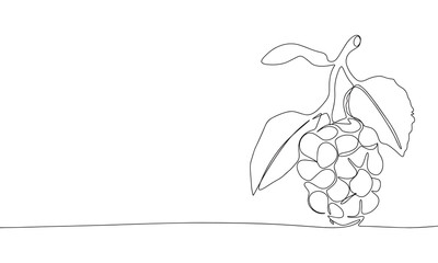 Blackberry one line continuous. Line art Blackberry. Hand drawn vector art.