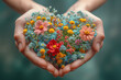 Heart with flowers, humanitarian help and support, hope, love, emotion and charity concept