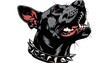 © LOVE VECTOR - Hand drawn modern isolated Vector illustration of Black dog's head Portrait of a Doberman dog barking with spiked collar. Tattoo idea, t-shirt print, dog training logo template, aggressive, canine