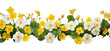 PNG Spring primrose flowers border daffodil plant petal