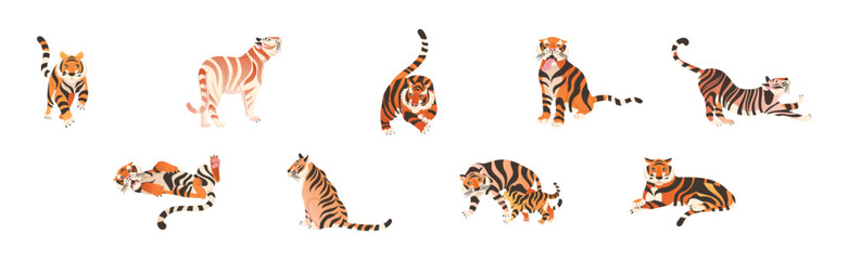 Wall Mural - Tiger Predator Jungle Animal with Striped Coat Vector Set