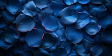 A Close-up Of Vibrant Blue Petals, Showcasing Their Delicate Texture And Captivating Color.


