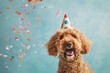 Brown Dog Wearing Party Hat With Balloons and Confetti