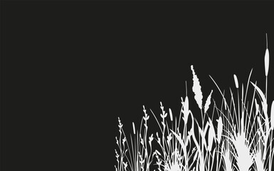 Wall Mural - Image of a monochrome reed,grass or bulrush on a white background.Isolated vector drawing.Black grass graphic silhouette.