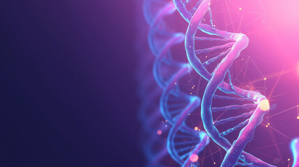 Visualizing the molecular structure of DNA