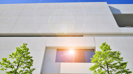 Wall Mural - Modern white concrete building walls against blue sky. Eco architecture. Green trees and concrete office building. The harmony of nature and modernity.