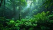 the lush greenery of summer rainforests, shown with documentary fidelity
