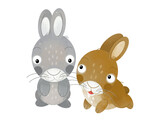 Fototapeta Dinusie - cartoon scene rabbit hare bunny pair farm ranch animals family isolated background aillustration for children