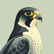Close-up illustration of a Peregrine Falcon's head with striking yellow eyes and detailed feathers.