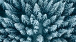 © MistoGraphy - Pristine snow blanketing a dense pine forest, aerial photography to capture the unbroken white expanse contrasted by dark green pines
