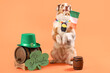Cute Australian Shepherd dog with Irish flag, barrels and card on orange background. St. Patrick's Day celebration