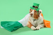 Australian Shepherd dog in leprechaun's hat with Irish flag lying on green background. St. Patrick's Day celebration