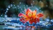 A dramatic water splash envelops a vibrant flower illustrating the harmonious dance between water and nature with droplets suspended in midair like liquid jewels  ,Generative ai, 