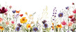 PNG  Backgrounds outdoors flower nature. 