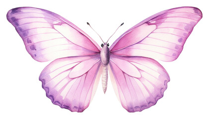 PNG  Small butterfly animal insect white background. AI generated Image by rawpixel.