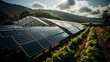 Solar panels as environmentally friendly renewable energy concept