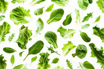 Canvas Print - Salad leaves arranged on white background for a vegetable abstract pattern