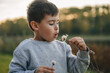 Small boy blowing dandelion in the field. Carefree children outdoors