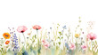 PNG Watercolor of a meadow spring Floral border outdoors flower nature.