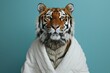 Artistic portrait of a tiger wearing a white bathrobe against a blue background.