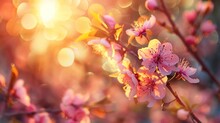 Beautiful Nature Spring Flowering Apricot Tree Scene With Sun Flare On Blur Background. AI Generated