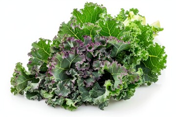 Wall Mural - Fresh red kale on white background