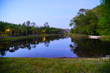 Poster - A Florida fountain and pond at night