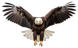 PNG Animal flying eagle bird. 