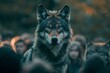 Portrait of a wolf with a crowd of people in the background