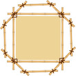 Bamboo picture frame, set of bamboo vine frames isolated on white background. Vector, design illustration. Vector.