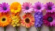 Collection of different fresh flowers.