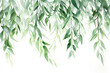 watercolor painting of weeping willow leaves in green shades on white with space for text.