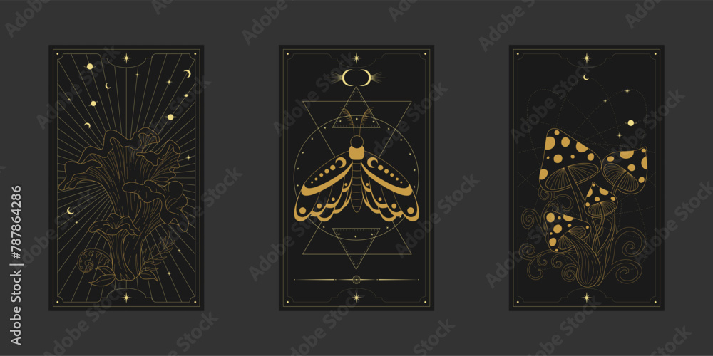 Vector mystic celestial set a with golden outline mushrooms, fly agaric ...