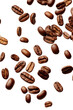 PNG Falling coffee beans backgrounds white background refreshment