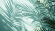 Abstract background of fresh palm leaves and shadows on the wall