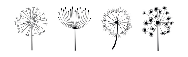 Wall Mural - Black Dandelion Flower on Stem with Fluffy Head Vector Set