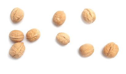 Wall Mural - Walnuts isolated white background