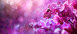 Beautiful purple orchid phalaenopsis background. Generative ai design art concept.