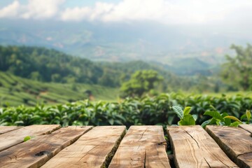 Wall Mural - Wooden table with mountain view or desk with tea plantation background space for text