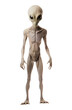PNG Aliens adult white background sculpture