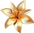 lily flower made of gold,golden lilly flower isolated on white or transparent background,transparency