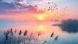 Scenic view of beautiful sunrise or dawn above the pond or lake at spring or early morning with cloudy fog over water and reed with dew.
