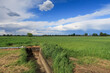 Po Valley Italy Europe landscape nature naturalistic